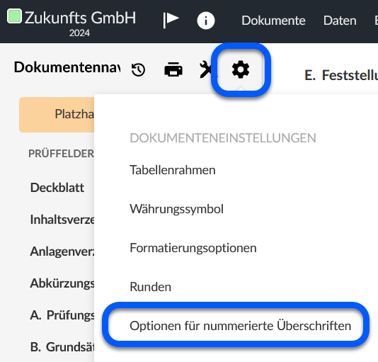 Screenshot des Menüs Dokumenteneinstellungen