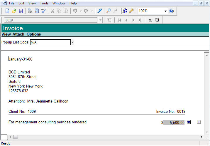 Sample CaseView invoice